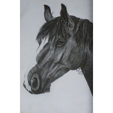 Arab, Alicja Botorek, 30 x 20 cm, nr kat. 31-14-2-2019 poz.3