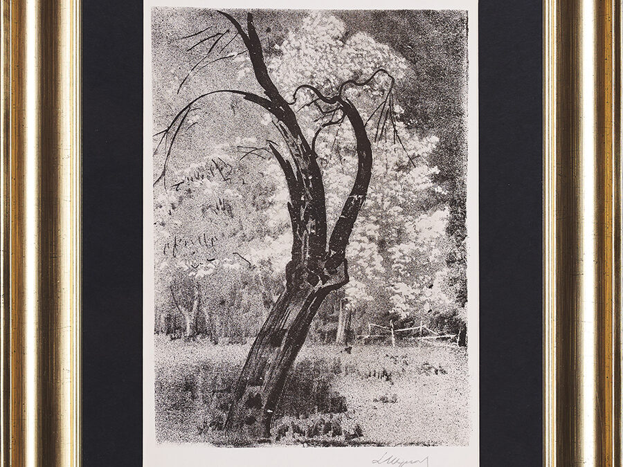 Leon Wyczółkowski, Stara jabłoń, 1920.