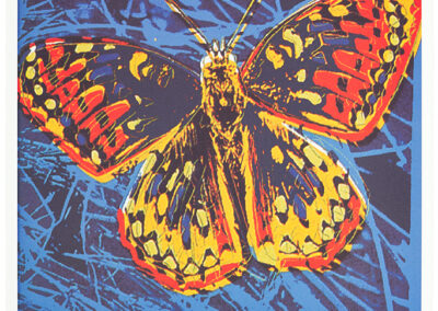 Warhol Andy, Butterfly
